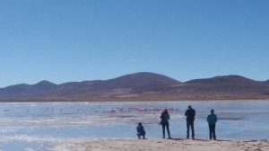 segunda laguna dos flamingos